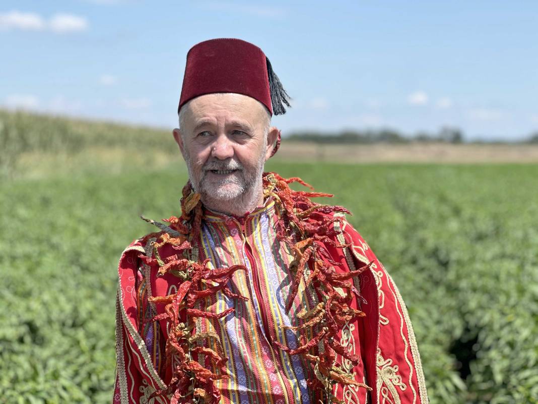 Acı biber strese girdi, Roman havası dinlete dinlete hasat ediyorlar! 7